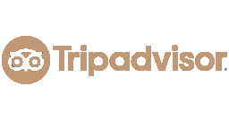 tripod visor logo gold